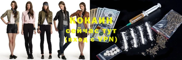 ПСИЛОЦИБИНОВЫЕ ГРИБЫ Михайлов