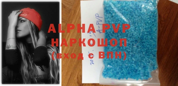 ПСИЛОЦИБИНОВЫЕ ГРИБЫ Михайлов