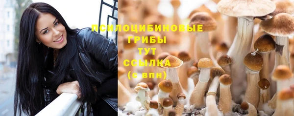 PSILOCYBIN Бронницы