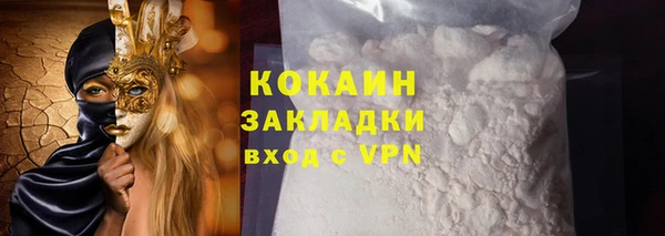 ПСИЛОЦИБИНОВЫЕ ГРИБЫ Михайлов