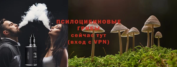 PSILOCYBIN Бронницы