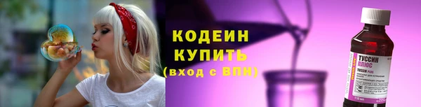 ПСИЛОЦИБИНОВЫЕ ГРИБЫ Михайлов