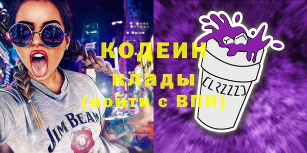 ПСИЛОЦИБИНОВЫЕ ГРИБЫ Михайлов