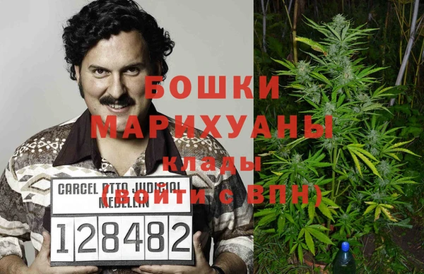 ПСИЛОЦИБИНОВЫЕ ГРИБЫ Михайлов