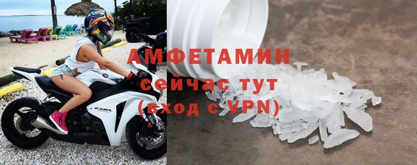 ПСИЛОЦИБИНОВЫЕ ГРИБЫ Михайлов