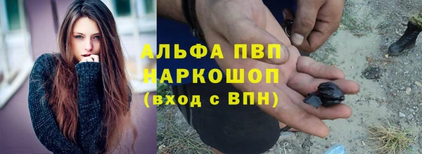 ПСИЛОЦИБИНОВЫЕ ГРИБЫ Михайлов