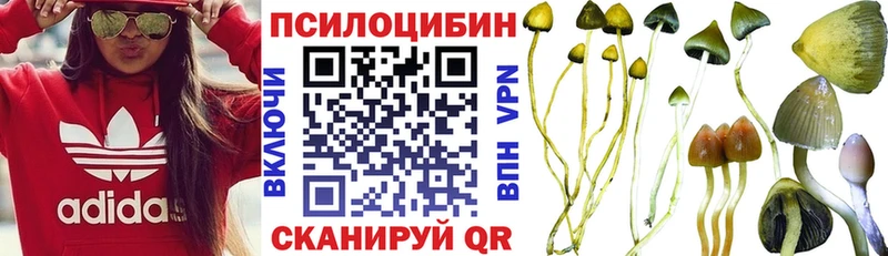 Галлюциногенные грибы Psilocybine cubensis darknet наркотические препараты Яровое продажа наркотиков